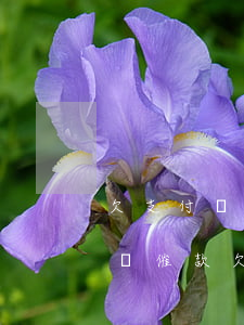 欠支付寶9000會(huì)起訴么，支付寶催款：欠款9000元是否會(huì)面臨訴訟風(fēng)險(xiǎn)？
